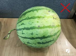 黑料吃瓜网apk普通安装 