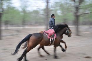 黑料吃瓜网apk普通安装 