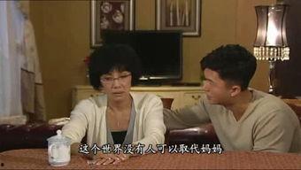 猫小帅识字免费版 