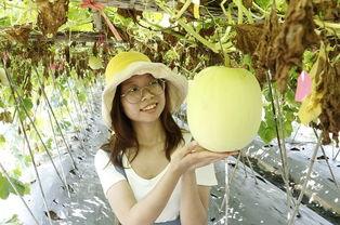 今日热榜安卓app下载 