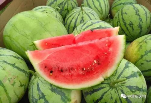 今日热榜安卓app下载  第2张