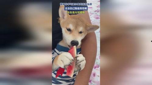 黑料吃瓜网apk普通安装  第2张